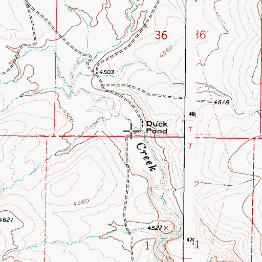Topographic Map of Duck Pond, OR