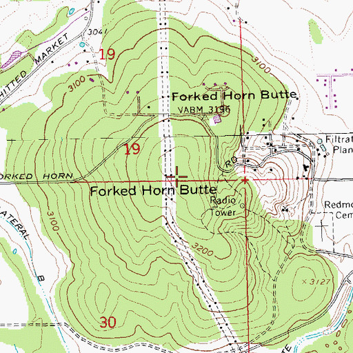 Topographic Map of Forked Horn Butte, OR