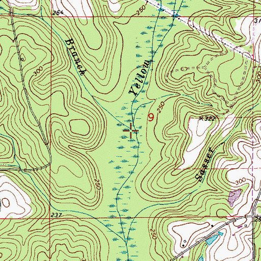 Topographic Map of Bear Branch, AL