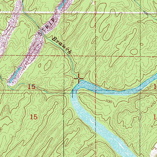Topographic Map of Bear Branch, AL