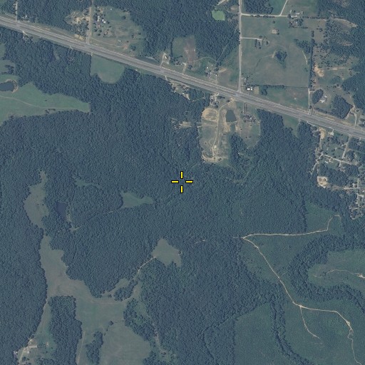 Aerial/Satellite Image of Bear Branch, AL