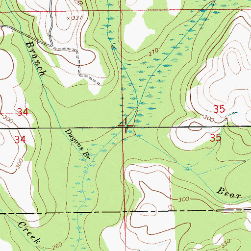 Topographic Map of Bear Branch, AL