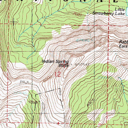 Topographic Map of Indian Spring Butte, OR