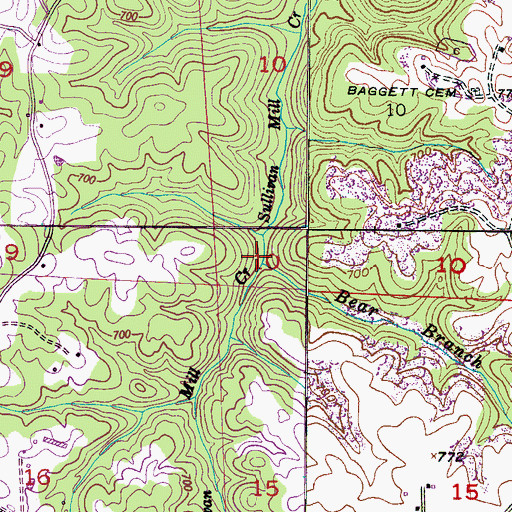 Topographic Map of Bear Branch, AL