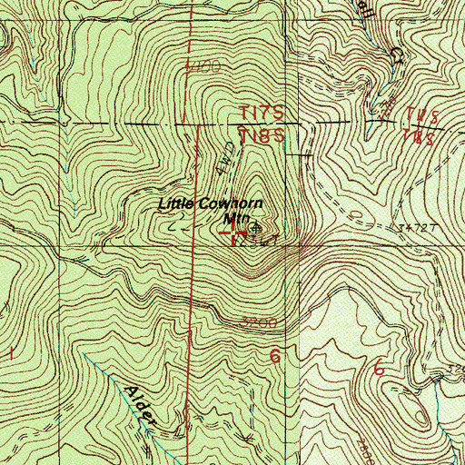 Topographic Map of Little Cowhorn Mountain, OR