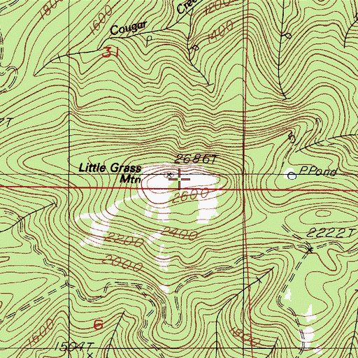 Topographic Map of Little Grass Mountain, OR