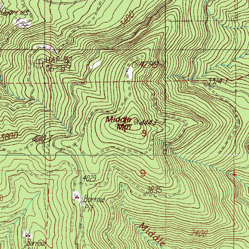 Topographic Map of Middle Mountain, OR