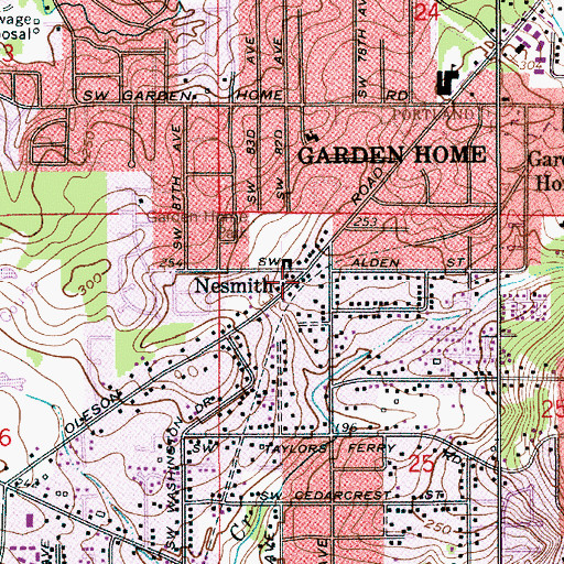 Topographic Map of Nesmith (historical), OR