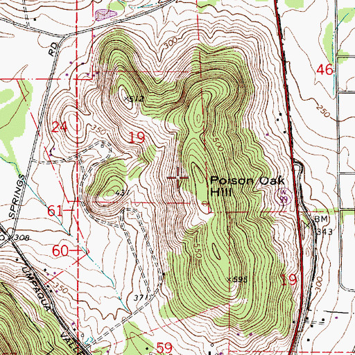 Topographic Map of Poison Oak Hill, OR
