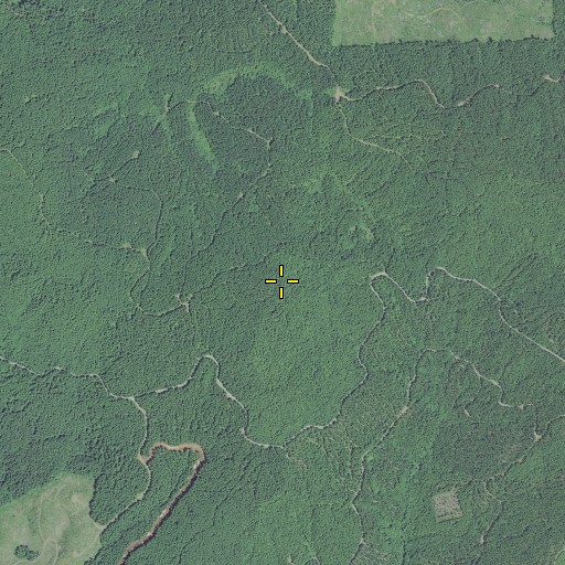 Aerial/Satellite Image of Prune Hill, OR