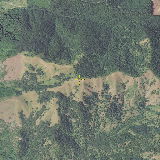 Aerial/Satellite Image of Round Timber, OR
