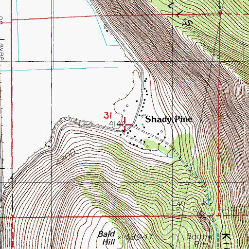 Topographic Map of Shady Pine, OR