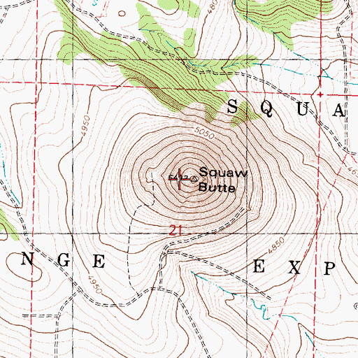 Topographic Map of Paiute Butte, OR