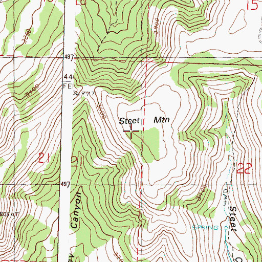 Topographic Map of Steet Mountain, OR