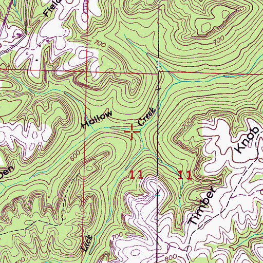 Topographic Map of Bear Den Hollow, AL
