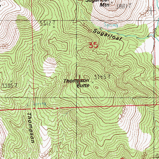 Topographic Map of Thompson Butte, OR