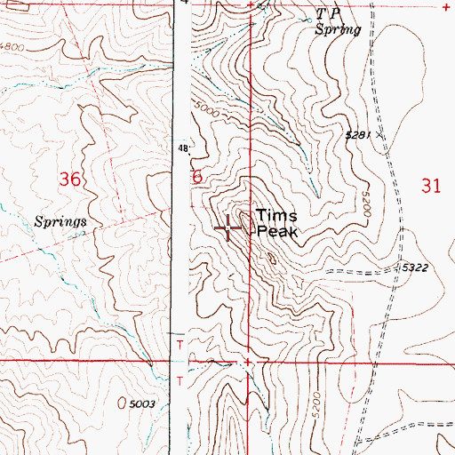 Topographic Map of Tims Peak, OR
