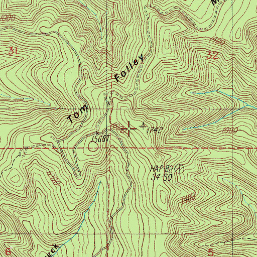 Topographic Map of Tom Folley Mountain, OR