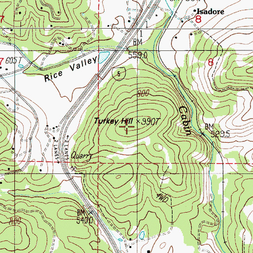 Topographic Map of Turkey Hill, OR