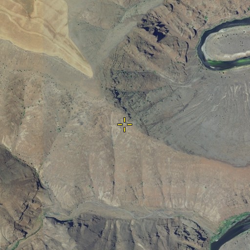 Aerial/Satellite Image of Wilson Point, OR