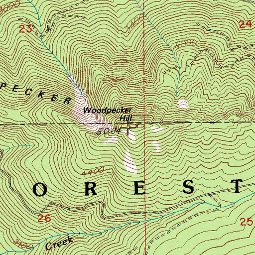 Topographic Map of Woodpecker Hill, OR