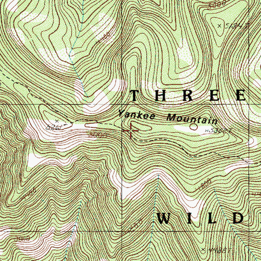 Topographic Map of Yankee Mountain, OR