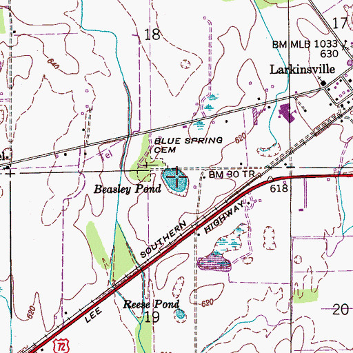 Topographic Map of Beasley Pond, AL