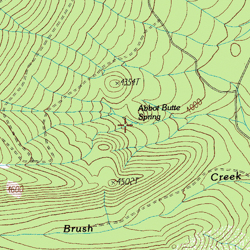 Topographic Map of Abbot Butte Spring, OR