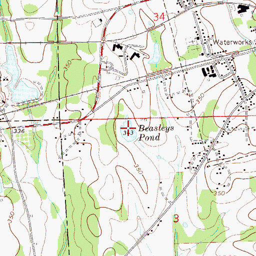 Topographic Map of Beasleys Pond, AL