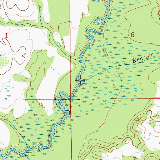 Topographic Map of Beaver Branch, AL
