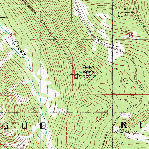 Topographic Map of Alder Spring, OR