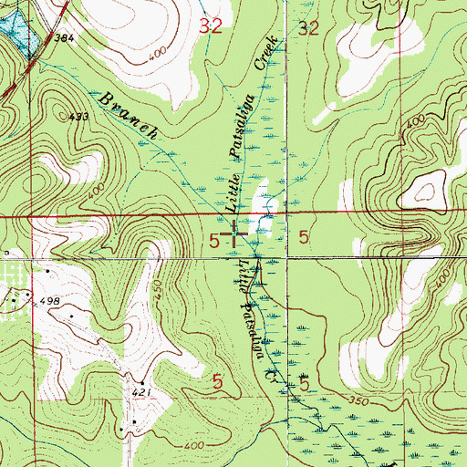 Topographic Map of Beaver Branch, AL