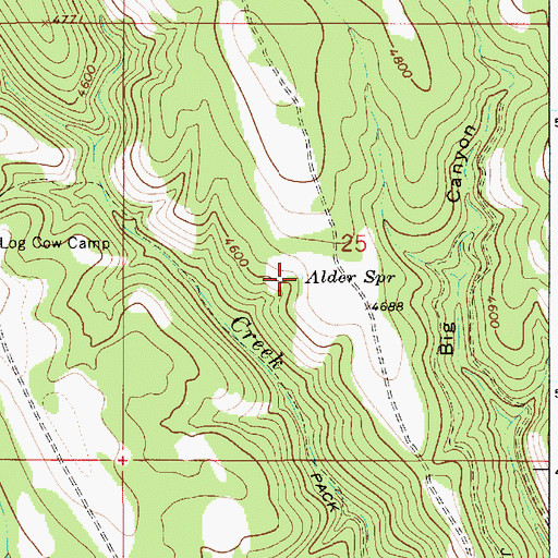 Topographic Map of Alder Spring, OR