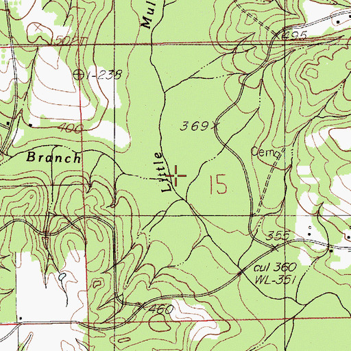 Topographic Map of Beaver Branch, AL