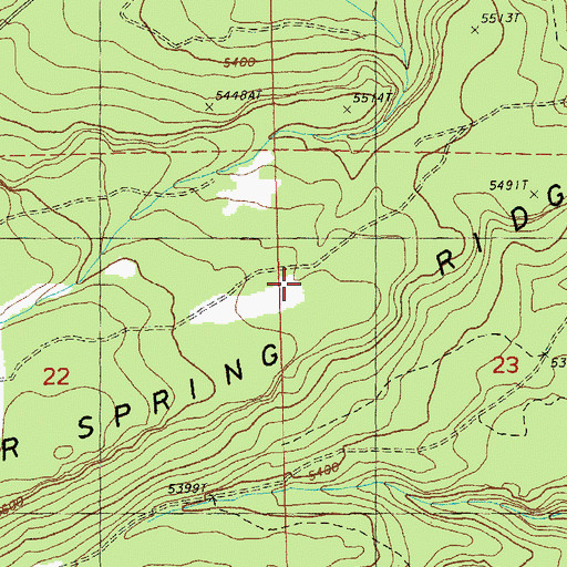 Topographic Map of Alder Spring Ridge, OR