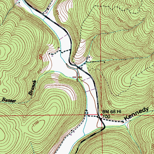 Topographic Map of Beaver Branch, AL