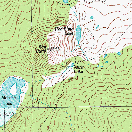 Topographic Map of Alice Lake, OR