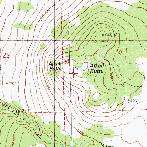 Topographic Map of Alkali Butte, OR