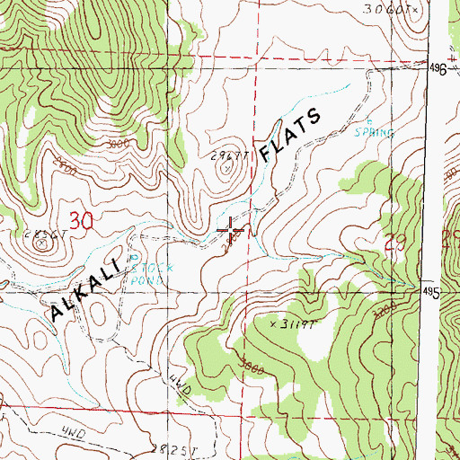 Topographic Map of Alkali Flats, OR