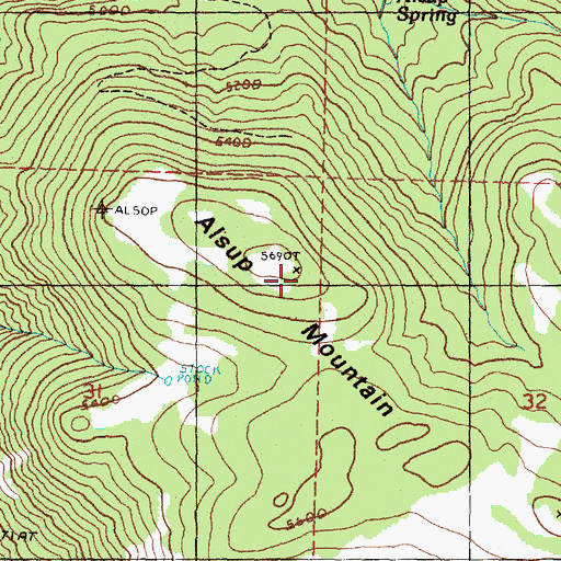 Topographic Map of Alsup Mountain, OR