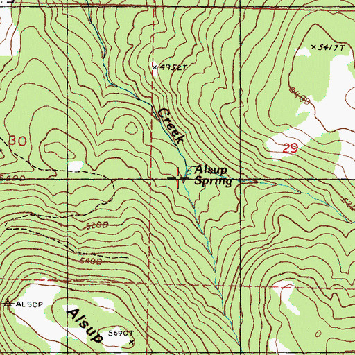 Topographic Map of Alsup Spring, OR