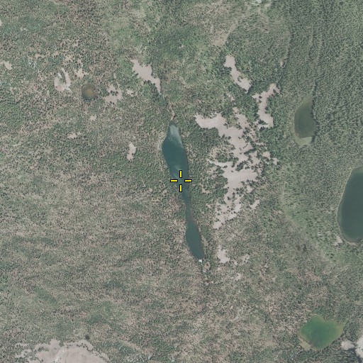Aerial/Satellite Image of Lake Alta, OR