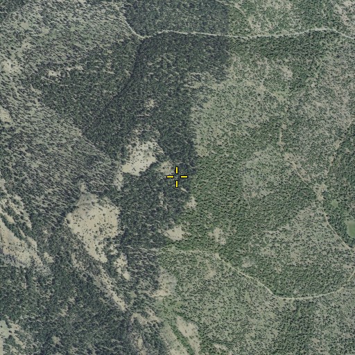 Aerial/Satellite Image of Altnow Spring, OR