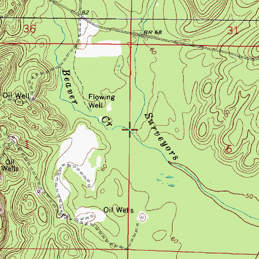 Topographic Map of Beaver Creek, AL