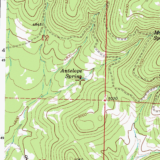 Topographic Map of Antelope Spring, OR