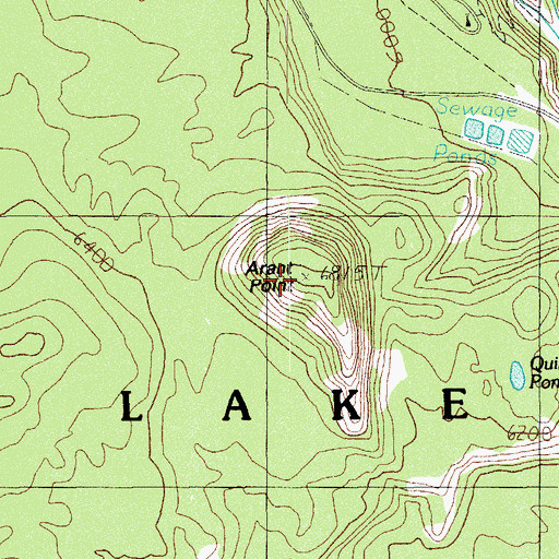 Topographic Map of Arant Point, OR