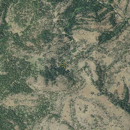 Aerial/Satellite Image of Arnica Spring, OR