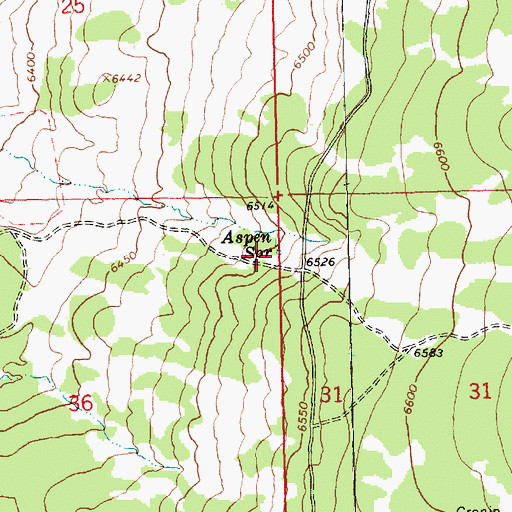 Topographic Map of Aspen Spring, OR