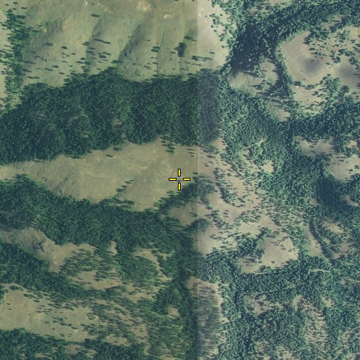 Aerial/Satellite Image of Aspen Spring, OR