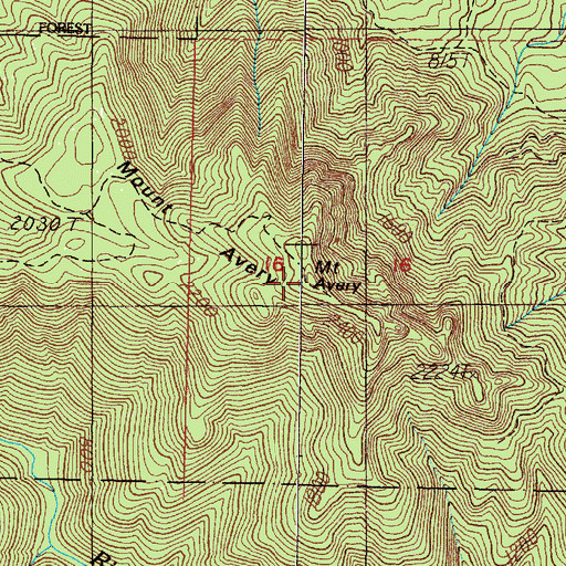 Topographic Map of Mount Avery, OR
